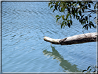 foto Lago di Toblino